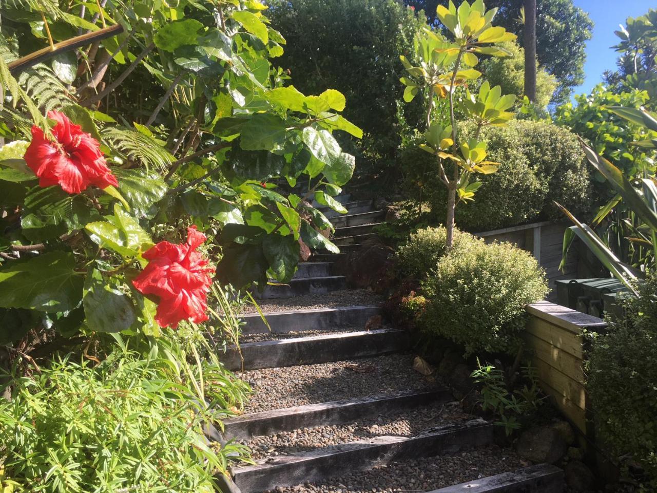Fantail B&B 泰鲁阿 外观 照片